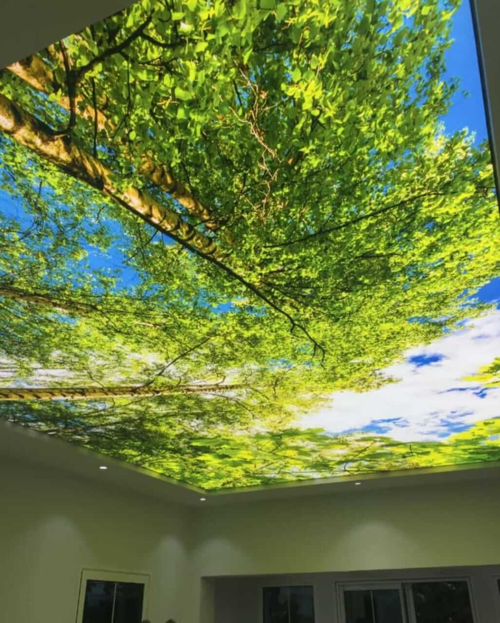 Stretch Ceiling With LED Light – Glasster
